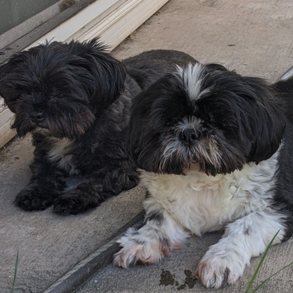 Meet your Posher, Courtney - Picture 1 of 1